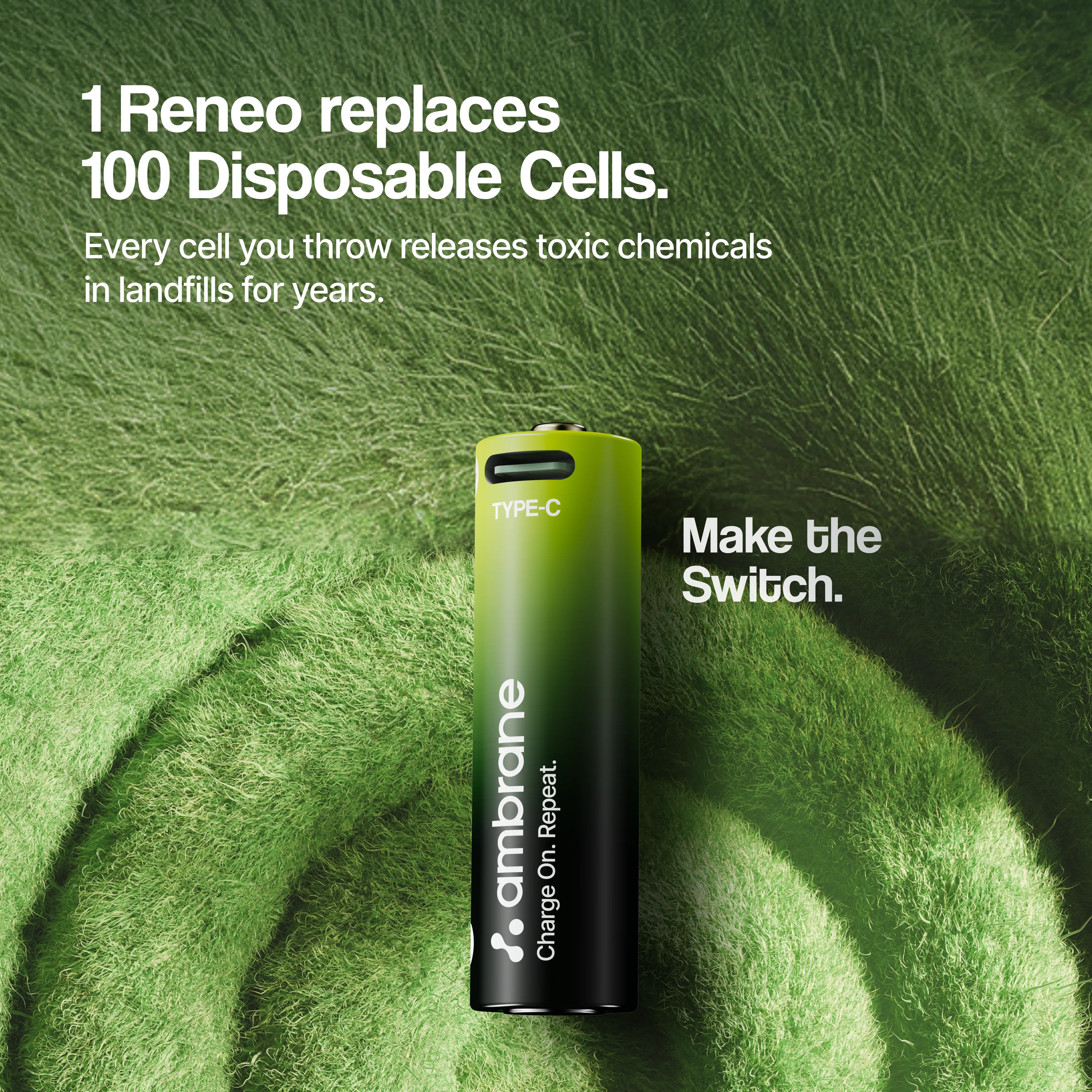 Reneo - Image 5
